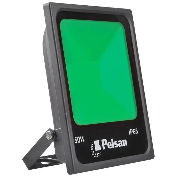 PROJEKTOR PELSAN FRANKO 50VT LED 108167