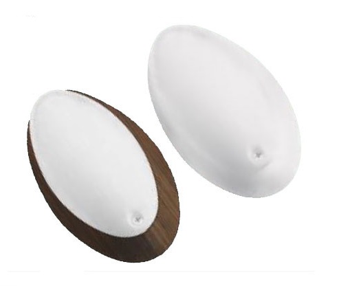 PLAFON IŞILDAR PLASTIK LED 12VATT IP65
